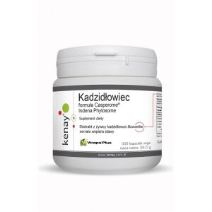 KENAY Boswellia Casperome Indena Phytosome (300 kapsulių) – „Viking Supplements“