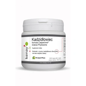 KENAY Boswellia Casperome Indena Phytosome (300 kapsulių) – „Viking Supplements“