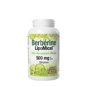 Natural Factors Berberine LipoMicel Matrix (120 Softgels) - Viking Supplements