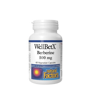 Natural Factors WellBetX Berberine 500 mg (60 Capsules) - Viking Supplements