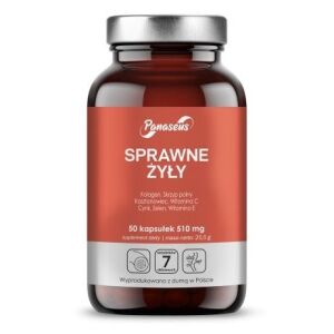 PANASEUS Efficient veins (50 caps) - Viking Supplements