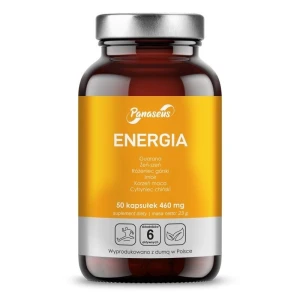 „PANASEUS Energy“ (50 kapsulių) – Viking Supplements