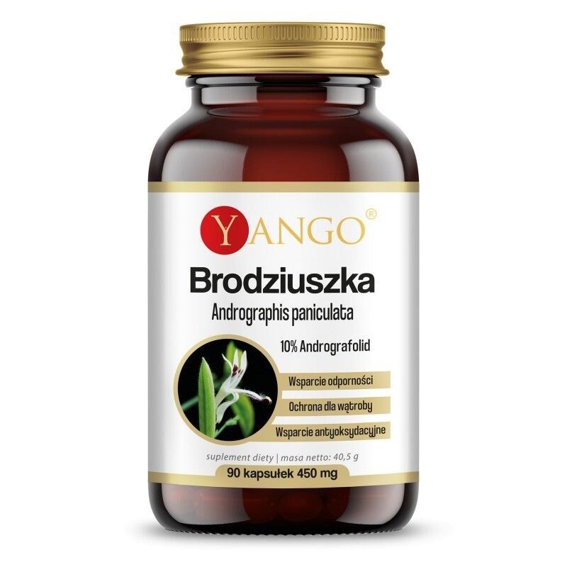 YANGO Andrographis paniculata (90 kapsulių) – „Viking Supplements“