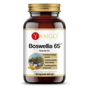 YANGO Boswellia 65 (90 kapsulių) – Viking Supplements